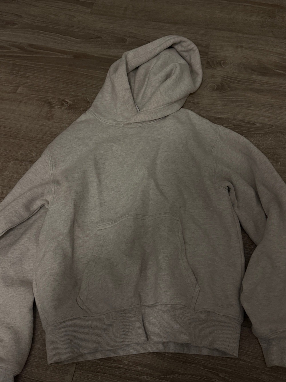 Aritzia Light Gray Men's Hooded Sweatshirt